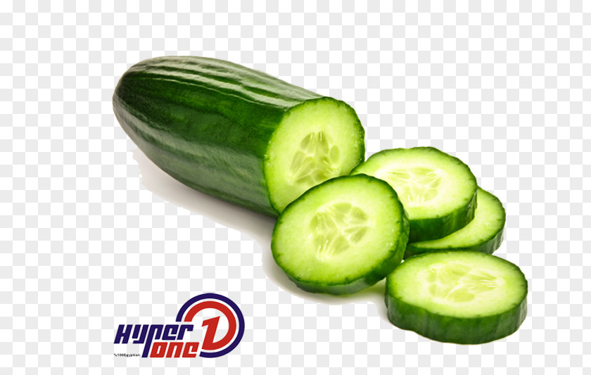 Cucumber Pickled Australian Cuisine Middle Eastern Organic Food PNG