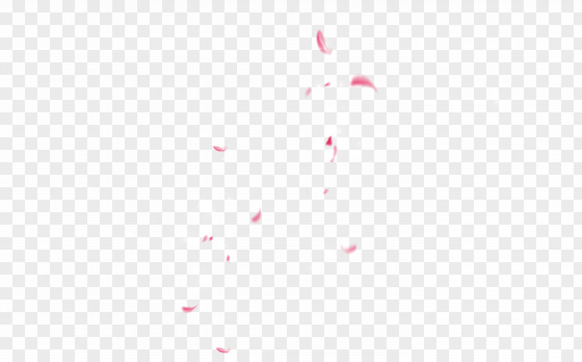 Japanese Pink Falling Cherry Petals Arrow Pattern PNG