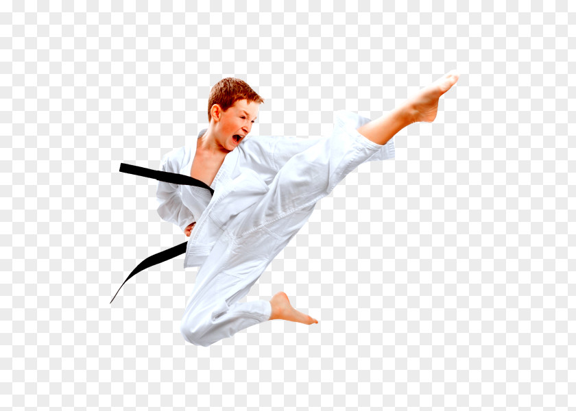 Karate Martial Arts Kick Taekwondo Jujutsu PNG