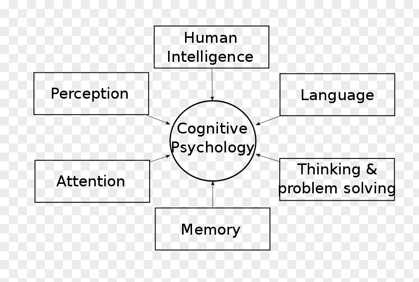 Cognitive Psychology Cognition History Of Psychologist PNG