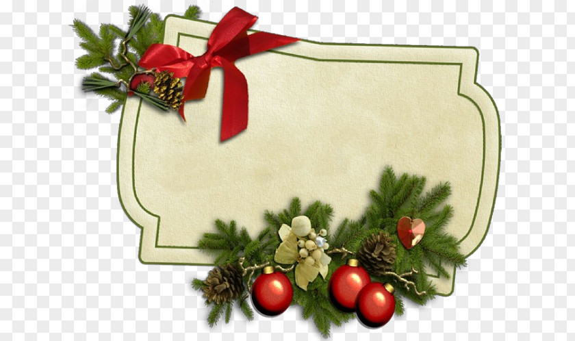 Conifer Christmas Ornament Decoration PNG