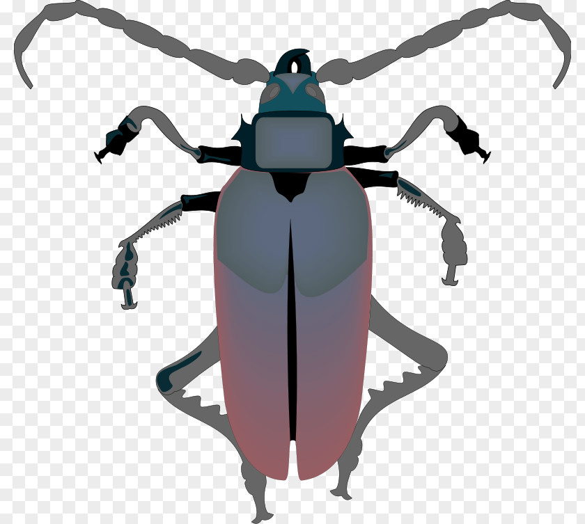 Free Insect Photos Cockroach Download Clip Art PNG