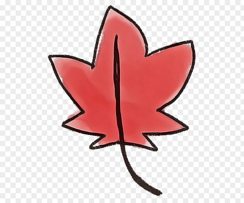 Maple Leaf PNG