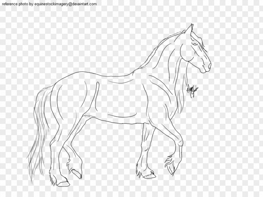 Mustang Friesian Horse Arabian American Quarter Pony PNG