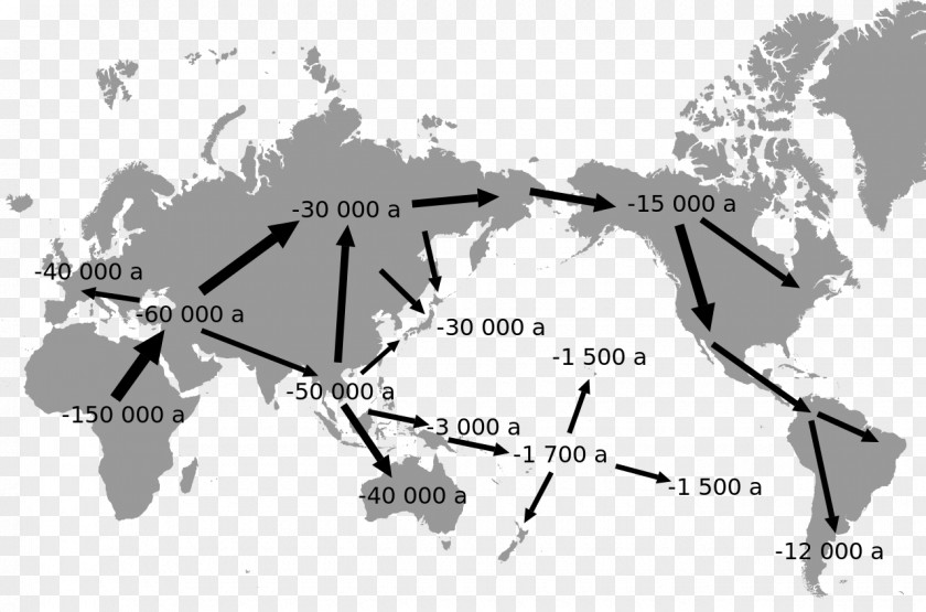 Creative World Map Globe Miller Cylindrical Projection PNG