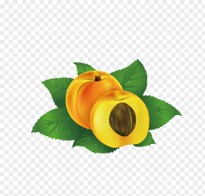 Peach Juice Fruit Clip Art PNG