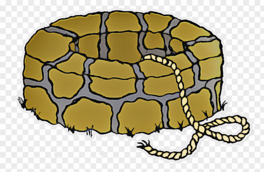 Tortoise M Pattern PNG