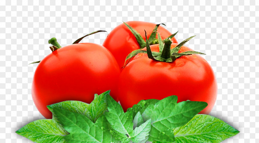 Vegetable Organic Food Tomato Juice Vegetarian Cuisine Paste PNG