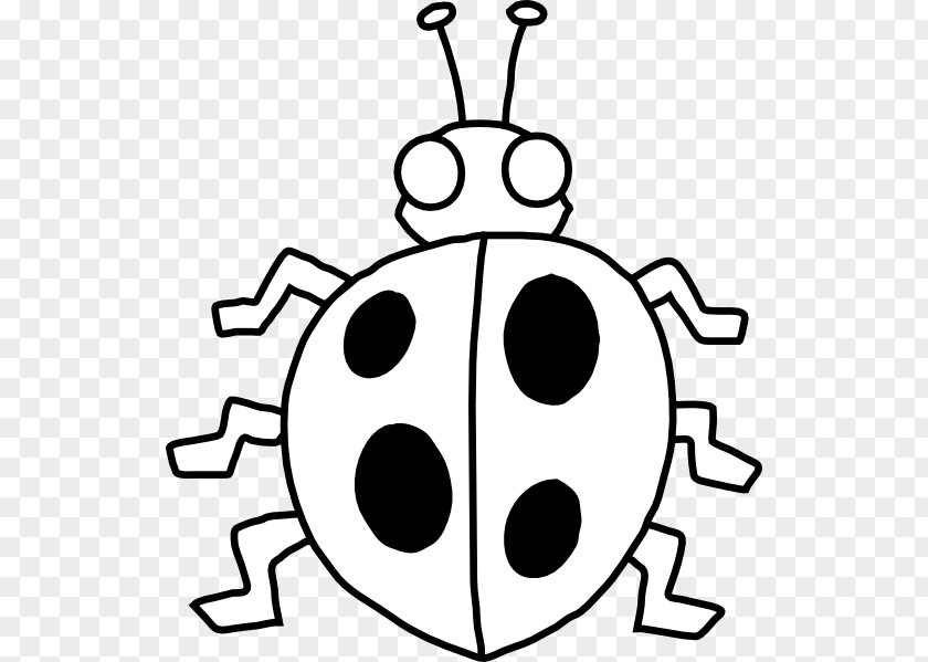 Bug Cliparts Black Beetle And White Clip Art PNG