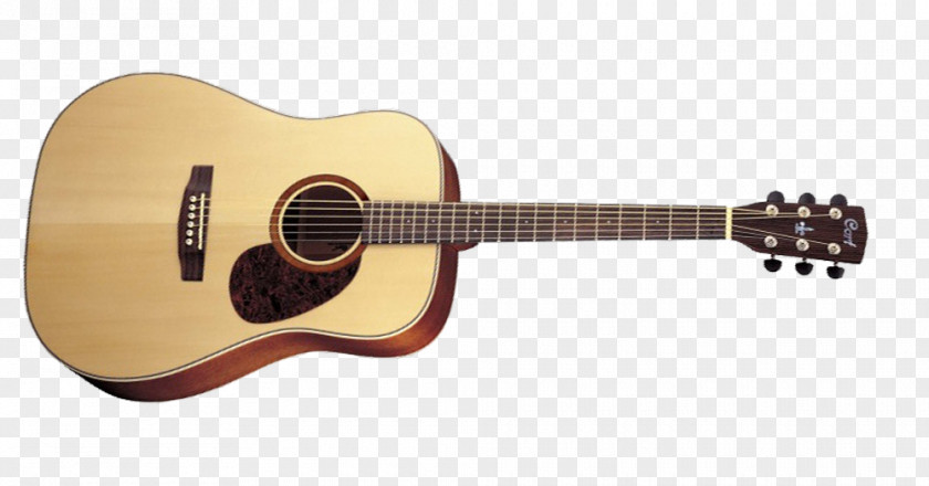 Guitar Cort Guitars Steel-string Acoustic Twelve-string PNG