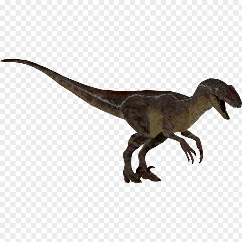 Thailand Velociraptor Zoo Tycoon 2: Marine Mania Tycoon: Dinosaur Digs Extinct Animals Endangered Species PNG