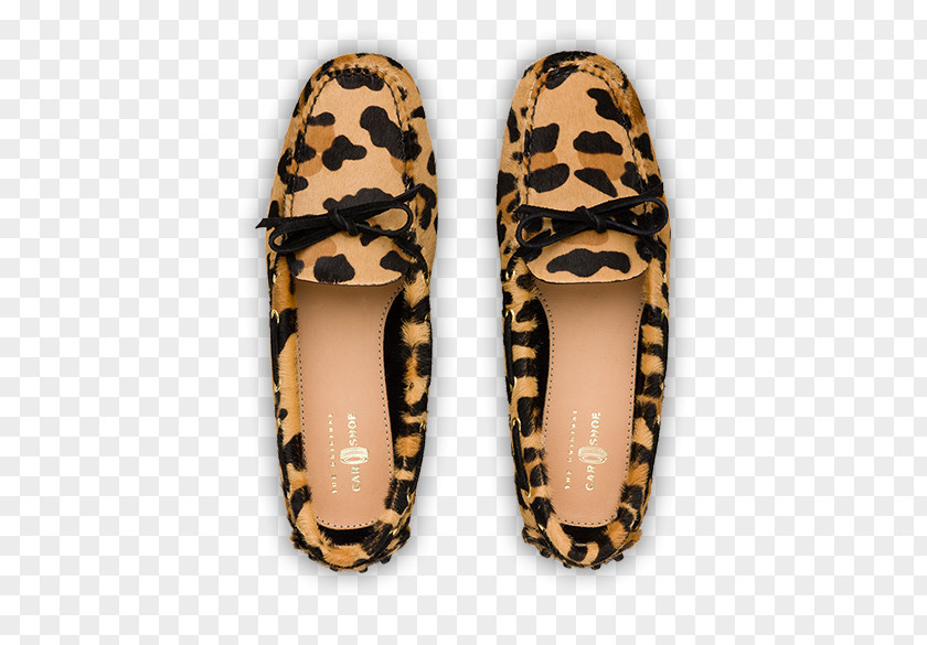 Cheetah Puma Shoes For Women Shoe Product Design PNG