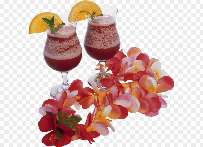 Cocktail Garnish Wine Sea Breeze Daiquiri PNG
