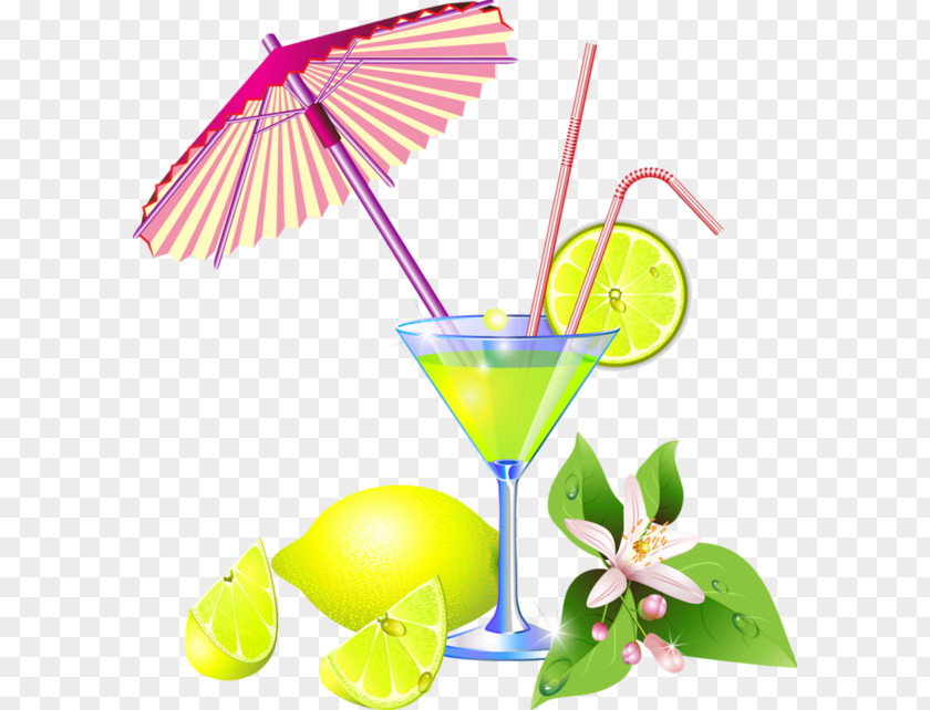 Cocktail Juice Margarita Flip Martini PNG