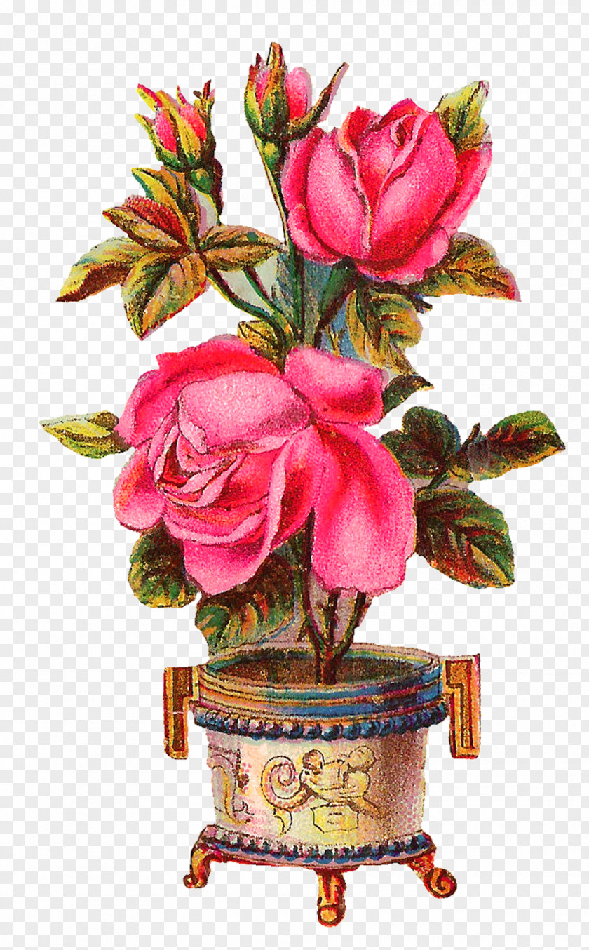 Flower Vase Floral Design Rose Clip Art PNG