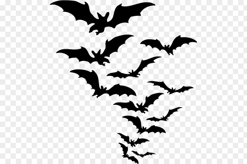 Halloween Bat Clip Art PNG