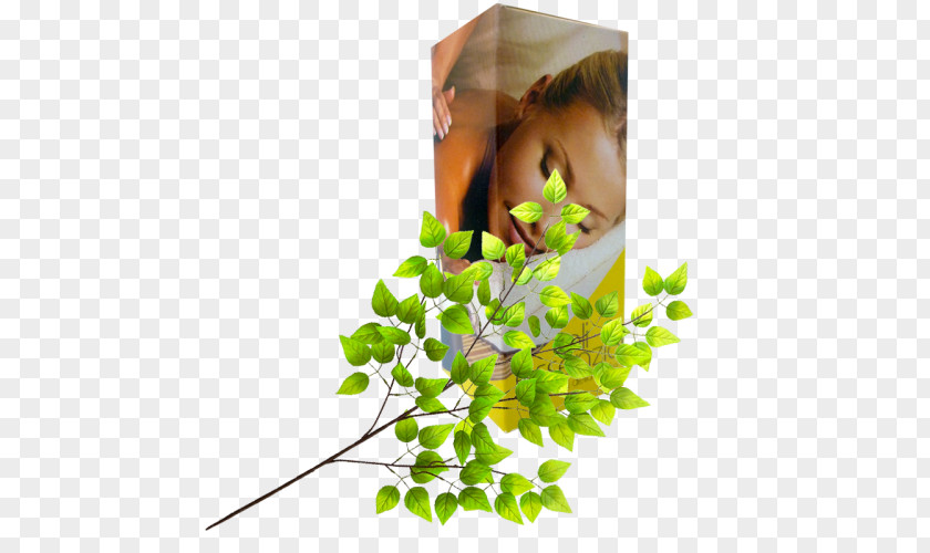Natural Nutrition Floral Design Leaf Twig Flowerpot PNG