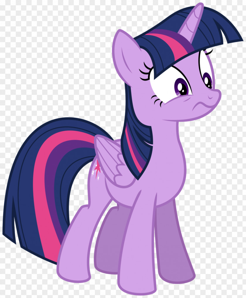 Sparkle Twilight My Little Pony Rainbow Dash Pinkie Pie PNG