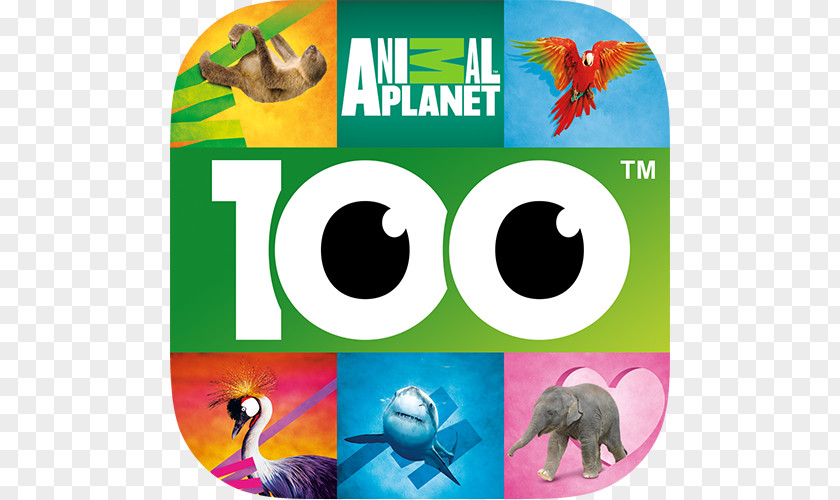 Guess The Picture Trivia Games Letters+Words Letters & WordsAnimal Planet 100 PICS Quiz PNG