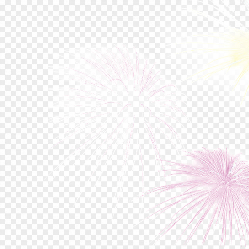 New Year Fireworks Petal Pattern PNG