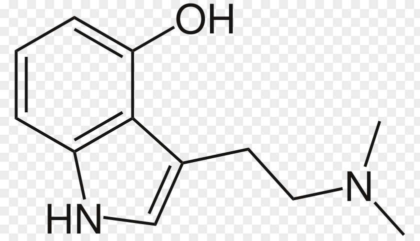 Psilocin Psilocybin Inocybe Aeruginascens N,N-Dimethyltryptamine Lysergic Acid Diethylamide PNG