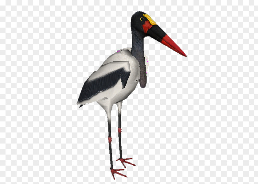 Stork White Zoo Tycoon 2 Saddle-billed Yellow-billed PNG