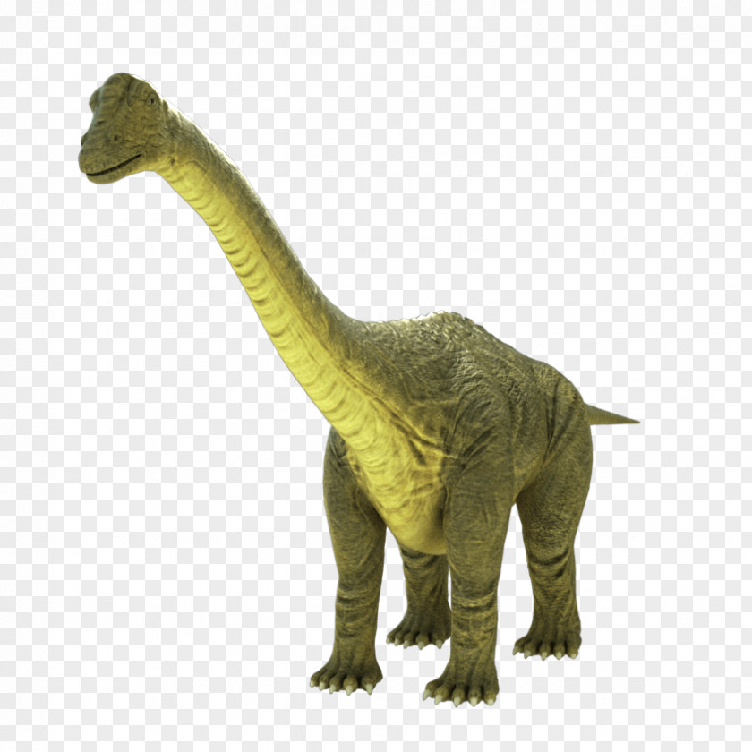 Animation Brontosaurus Apatosaurus Tyrannosaurus PNG