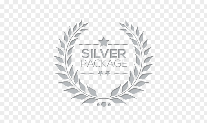 Gold Web Design Silver Consultant Advertising PNG