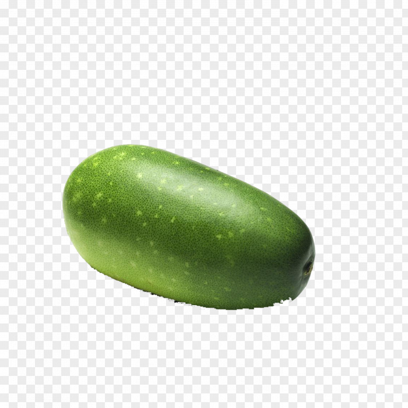Melon Cucumber Cantaloupe Wax Gourd Vegetable PNG