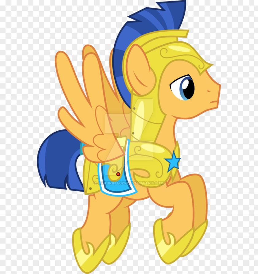 Pony Flash Sentry Cutie Mark Crusaders DeviantArt PNG