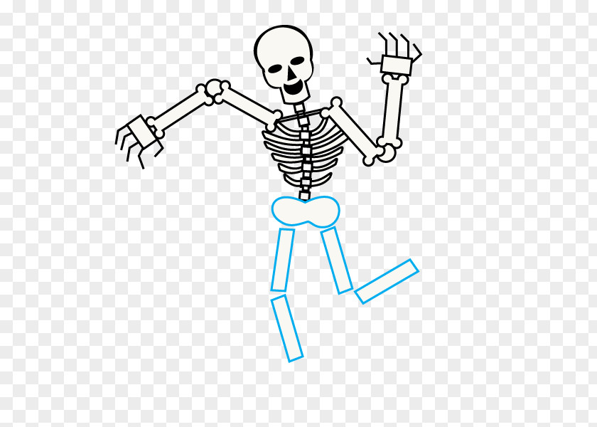 Skeleton Human Drawing Cartoon Bone PNG