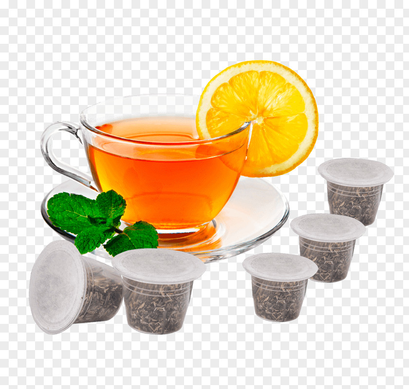 Tea Hong Kong-style Milk Mate Cocido Masala Chai PNG