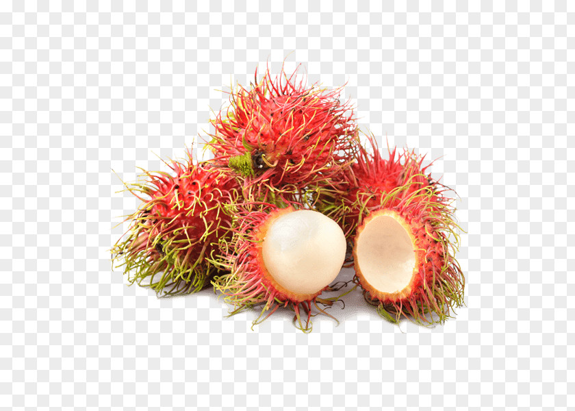 Vegetable Fruit Soursop Pitaya Rambutan Horned Melon PNG