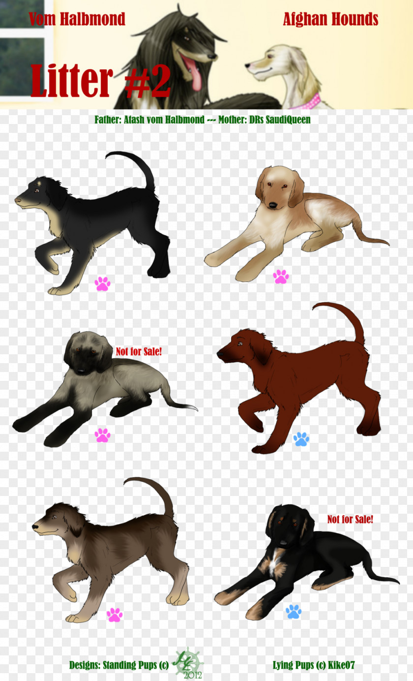 Cat Dog Breed Horse Leash PNG