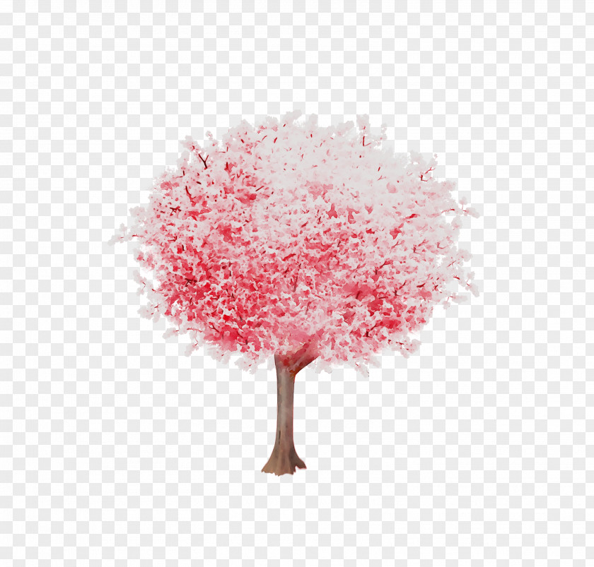 Cherry Blossom ST.AU.150 MIN.V.UNC.NR AD Pink M Cherries PNG
