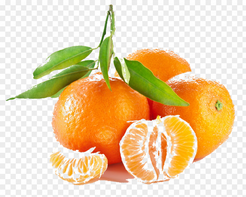 Orange Mandarin Tangerine Fruit Seed PNG
