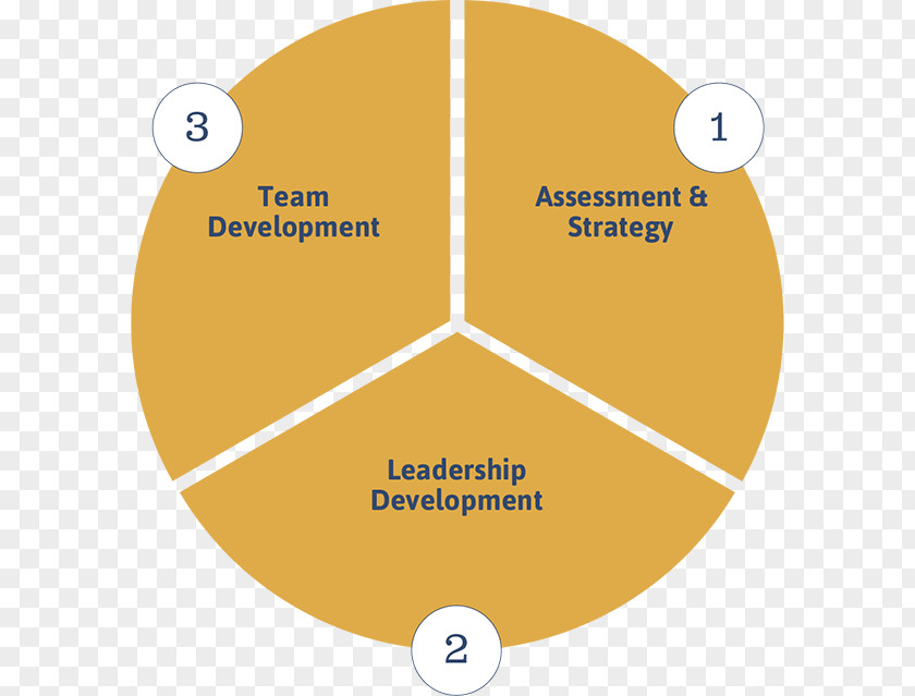 Organizational Framework Health Care Cardiovascular Disease Business PNG