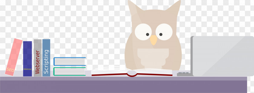 Owl Drawing PNG