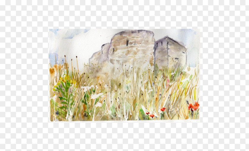 Painting York Castle Watercolor Art Place Gallery PNG