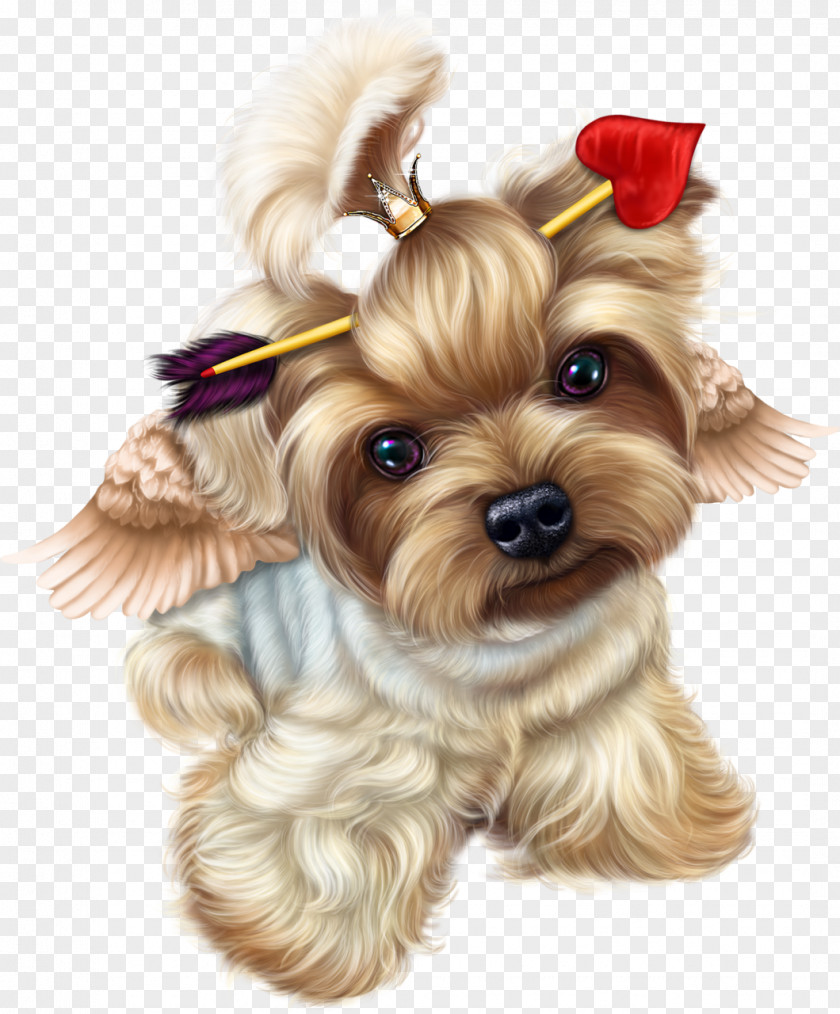 Puppy Yorkshire Terrier Valentine's Day Vinegar Valentines PNG