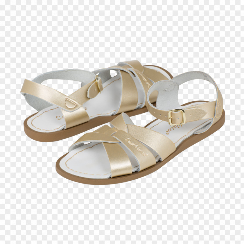 Sandals Saltwater Shoe PNG