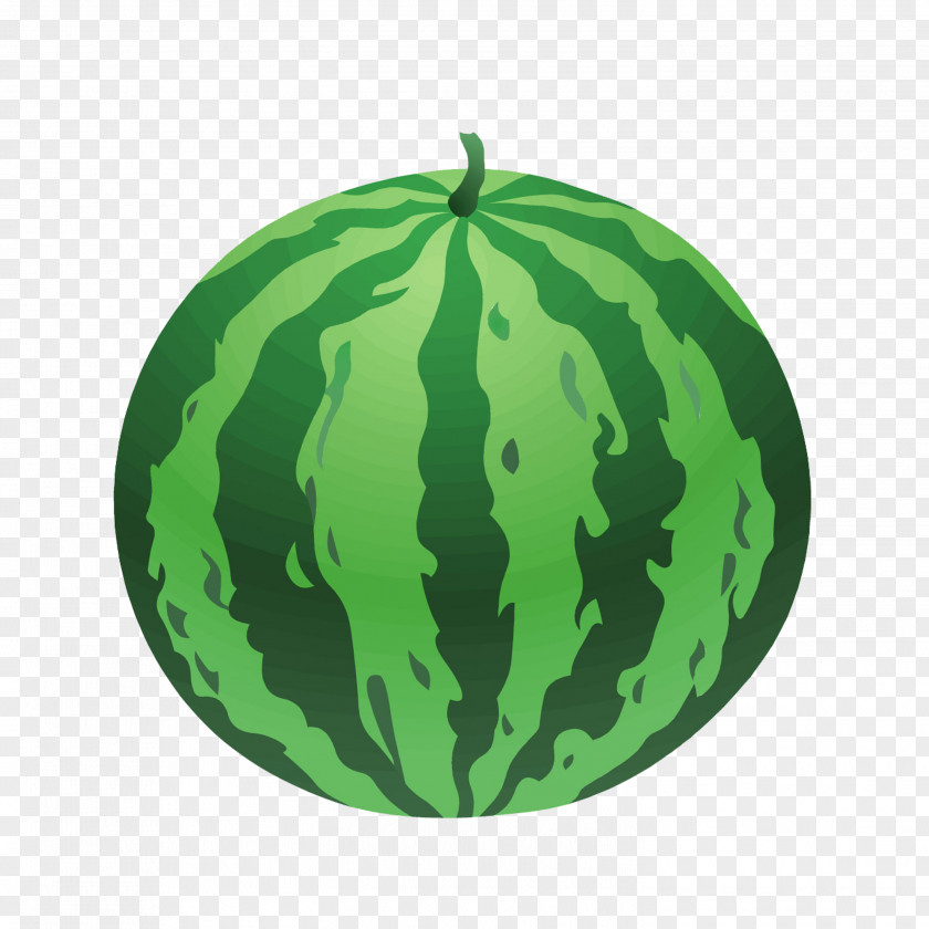 Watermelon Fruit Clip Art PNG