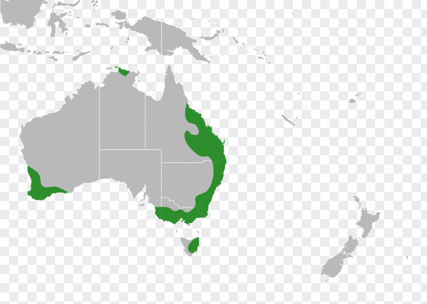 Australia Indonesia Globe World Map PNG