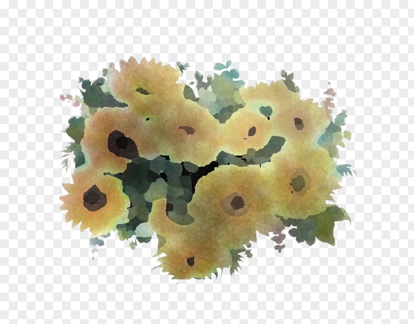 Flower Plants Science Biology PNG