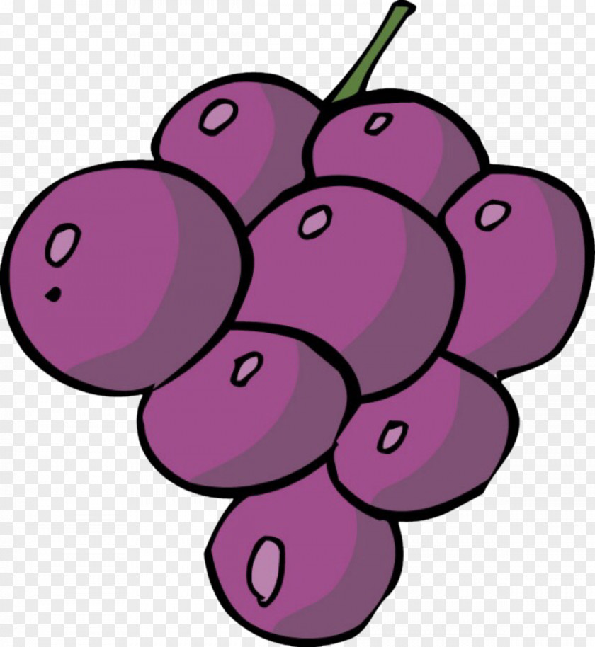 Hand-painted Grapes Wine Grape Cartoon PNG