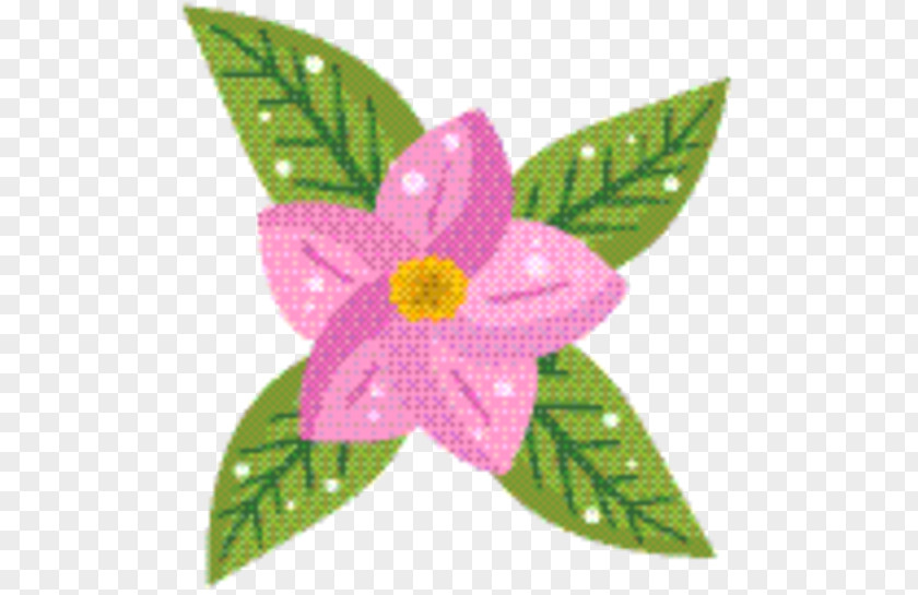 Impatiens Magenta Pink Flower Cartoon PNG