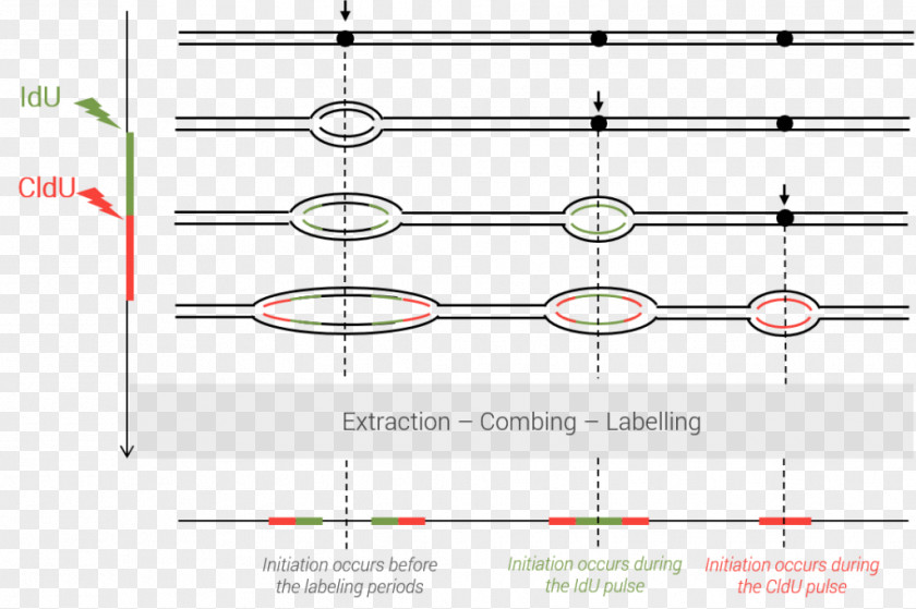 Line Point Angle PNG