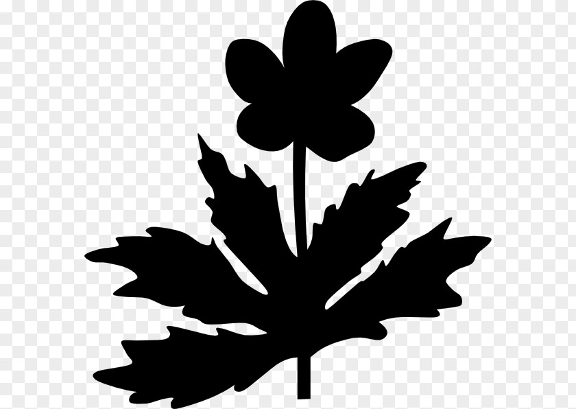 Maple Leaf Clip Art Silhouette Flower PNG