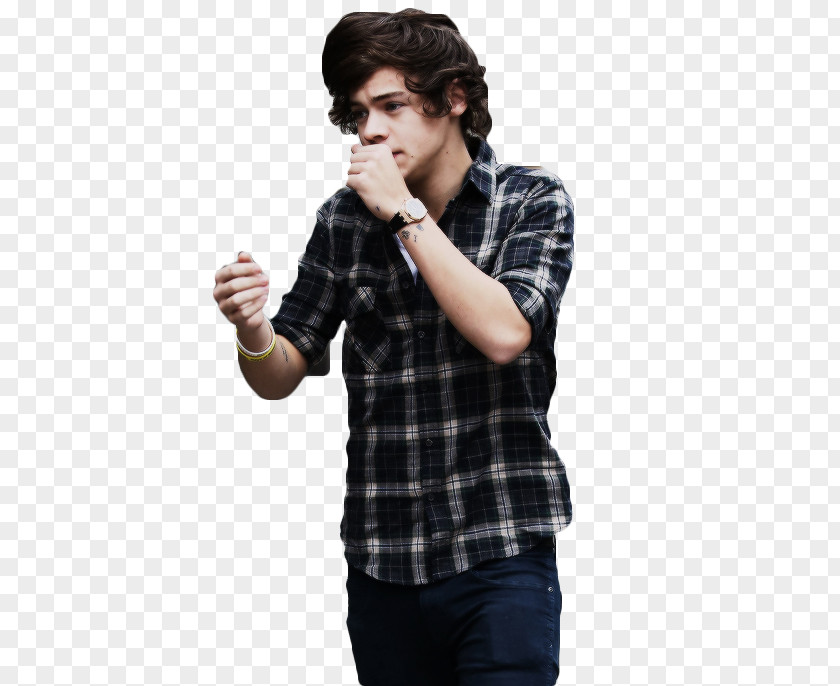 One Direction Harry Styles Boy Band Idea PNG
