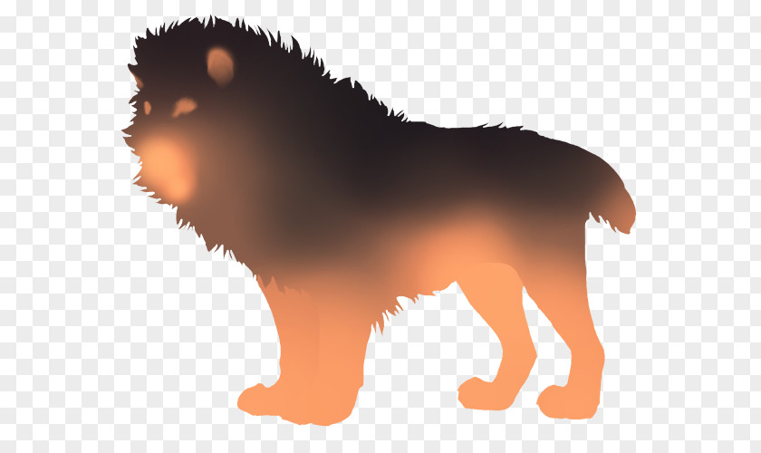 Puppy Lion Dog Big Cat PNG